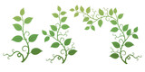 Illustration of various leaves and grass with rose leaves and thorns on a transparent background