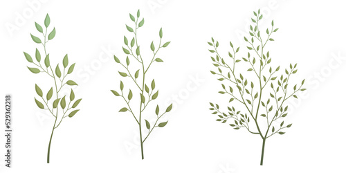 Various leaves and grass illustrations Transparent background Fog flower leaves