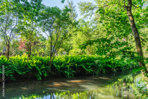 Water canal in Biosphere Reserve Spree Forest  Spreewald  in Brandenburg  Germany