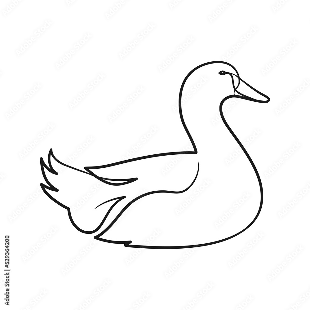 Duck continuous line art drawing Duck continuous line art drawing