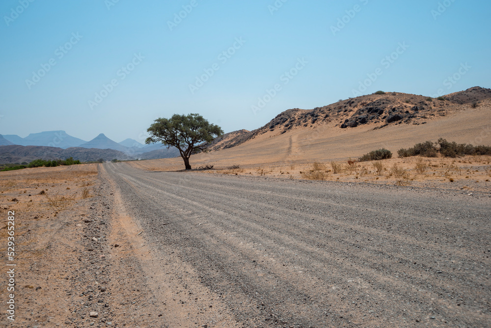 gravel road in desert
