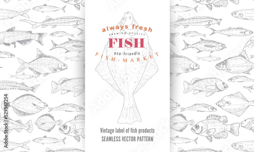 Fish vector design of packaging or label. Modern printed seafood background, vintage sketch of fish seamless pattern.