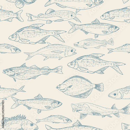 Fish vector seafood background, vintage sketch of fish seamless pattern.