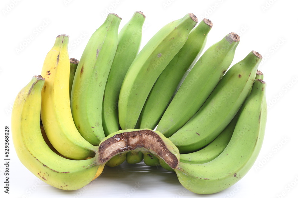 Green and Yellow Banana on white background Green and Yellow Banana on white background