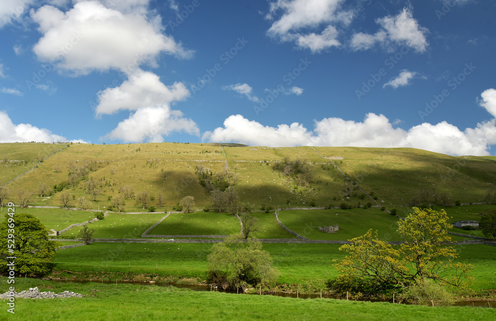 Obraz premium Scenery in Wharfedale near Grassington, Yorkshire Dales