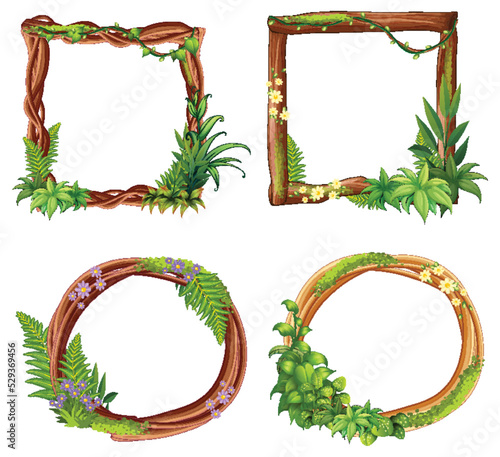 Set of different frames of liana branches and leaves