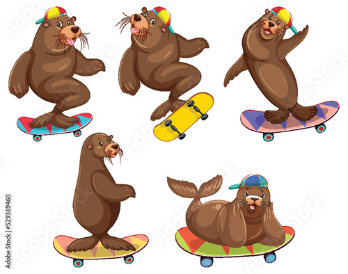 Set of different sea lions cartoon characters