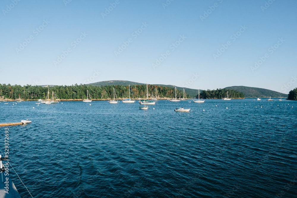 Obraz premium boats in the harbor