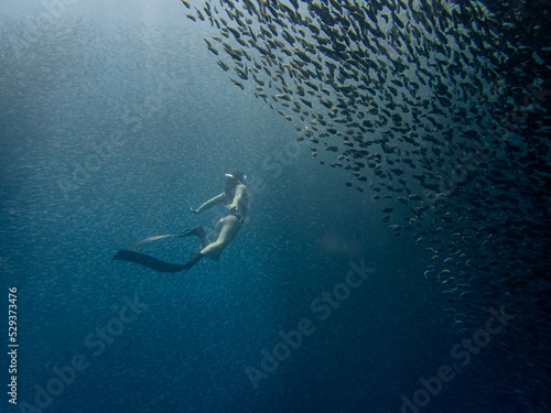 Female free diver breaks formation of a massive school of sardines in Moalboal, Cebu.