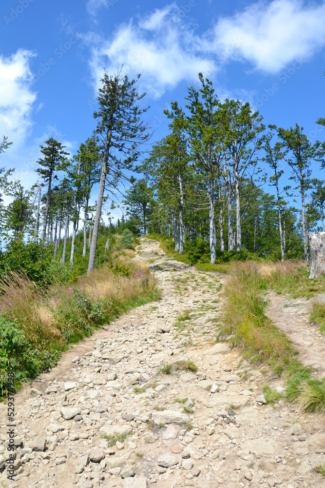 Silesian Beskids, mountain trail. The trail to Malinowska Rock (polish: Malinowa Skala) leads from the Salmopolska Pass through Malinow and Malinowska Cave. Silesian Beskids, mountain trail. The trail to Malinowska Rock (polish: Malinowa Skala) leads from the Salmopolska Pass through Malinow and Malinowska Cave.