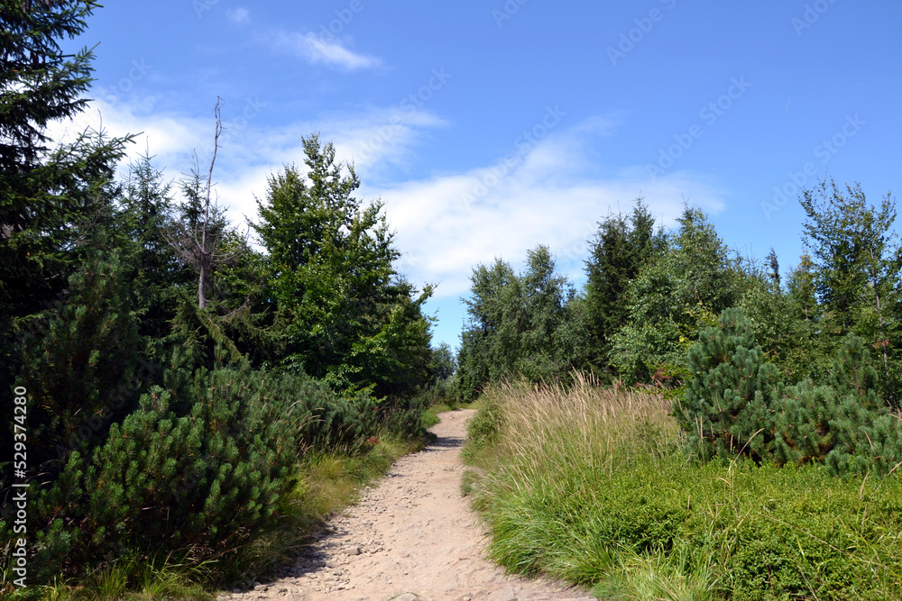 Obraz premium Silesian Beskids, mountain trail. The trail to Malinowska Rock (polish: Malinowa Skala) leads from the Salmopolska Pass through Malinow and Malinowska Cave.