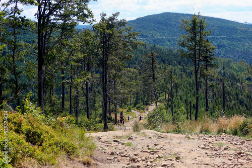 Fototapeta Naklejka Na Ścianę i Meble -  Silesian Beskids, mountain trail. The trail to Malinowska Rock (polish: Malinowa Skala) leads from the Salmopolska Pass through Malinow and Malinowska Cave.