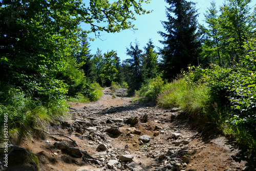 Silesian Beskids, mountain trail. The trail to Malinowska Rock (polish: Malinowa Skala) leads from the Salmopolska Pass through Malinow and Malinowska Cave. photo