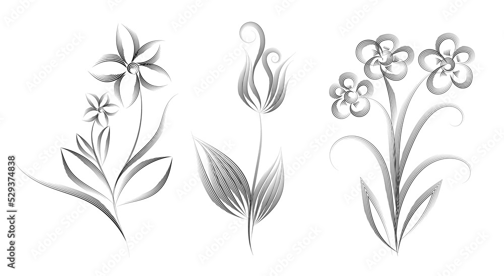 Set of Black flowers sketch drawing with line art on white backgrounds.