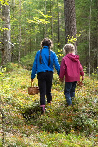 Two little girls carrying wicker baskets for gathering mushrooms and berries walking in a forest in fall season, vertical