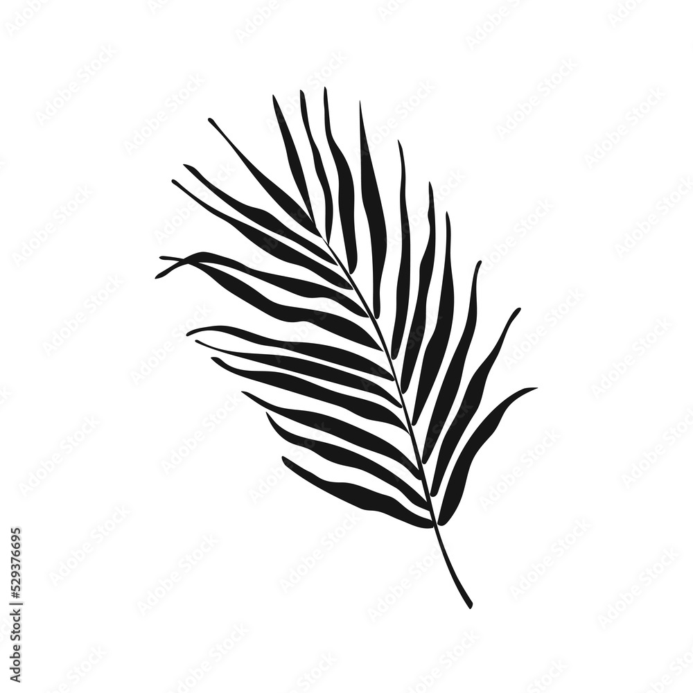 Palm leaf drawing. Сoconut palm leaves icon. Black silhouette on a white background. PNG design botanical icon for summer design, decoration, pattern making, boho style design Palm leaf drawing. Сoconut palm leaves icon. Black silhouette on a white background. PNG design botanical icon for summer design, decoration, pattern making, boho style design