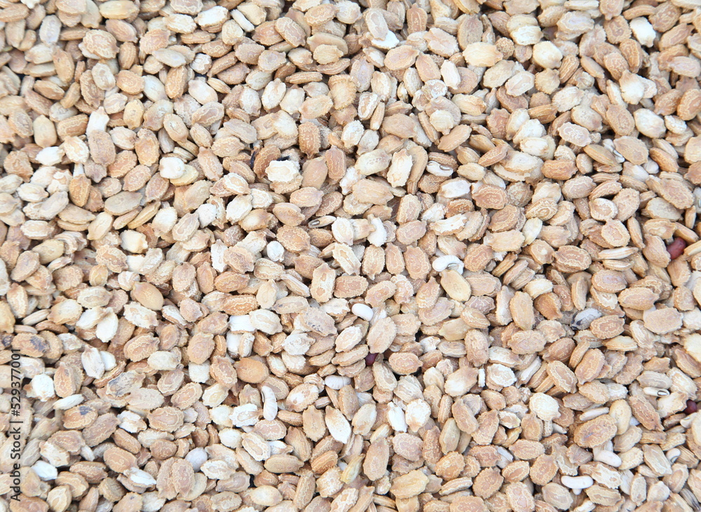 Brown and white beans pattern as background Brown and white beans pattern as background