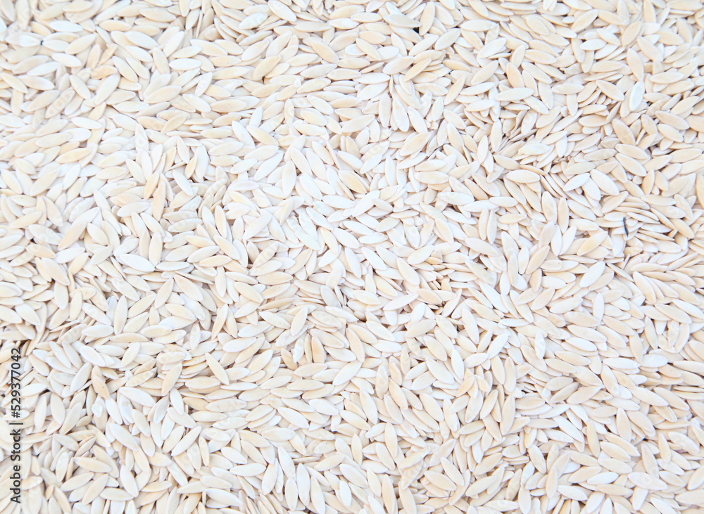 Brown and white beans pattern as background Brown and white beans pattern as background