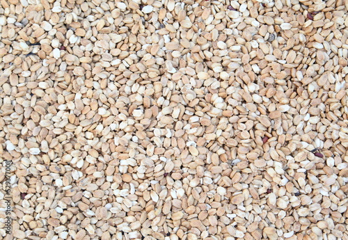 Brown and white beans pattern as background