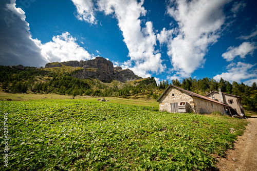 landscape with clouds over the mountains dolomiti, with blue sky an house and green trees in Italy © Vincenzo H. Langone