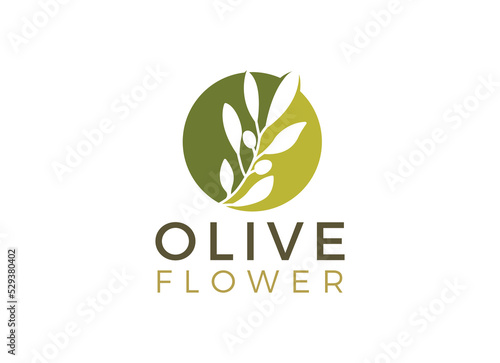 nature herbal olive oil plant, olive leaf flower logo design