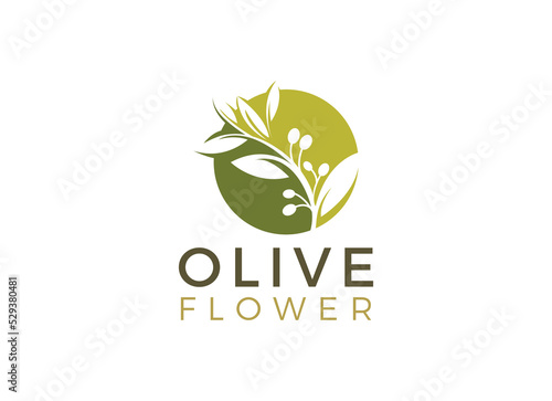 nature herbal olive oil plant, olive leaf flower logo design