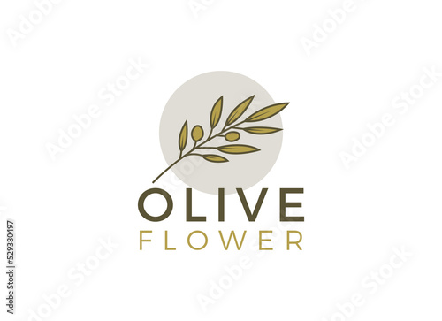 nature herbal olive oil plant, olive leaf flower logo design