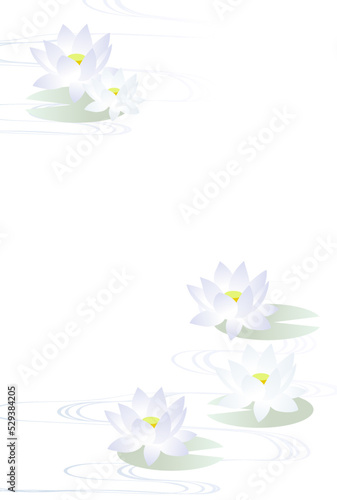 ノーマル版ハスと流水のポストカード枠線無しタテ