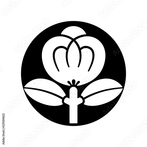 茶の實紋 / 茶の実紋・石持に茶の實（こくもちにちゃのみ）/ 石持ち地抜き茶の實（こくもちじぬきちゃのみ）