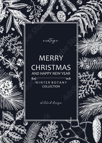 Merry Christmas card  on chalkboard with evergreen plants, conifers, and nuts drawing. Winter design with hand-drawn botanical illustrations. Vintage Christmas background, New Year invitation template
