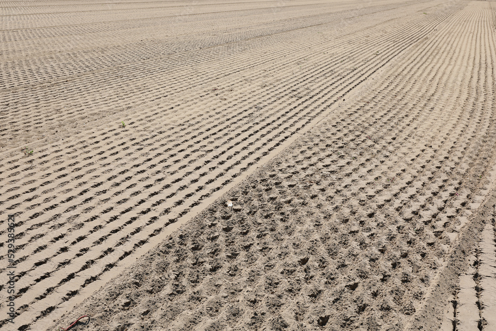 field to be cultivated completely arid due to drought in summer field to be cultivated completely arid due to drought in summer