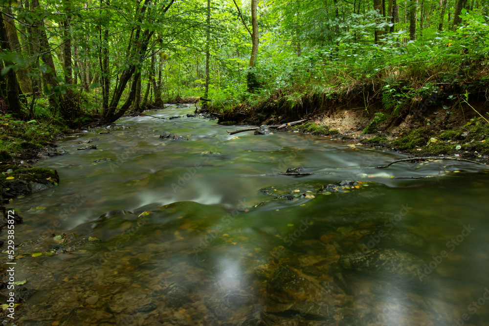 Silky smooth water flowing through the Ri d'Alyse on the border between Belgium and France. Lush green forest vegetation. Silky smooth water flowing through the Ri d'Alyse on the border between Belgium and France. Lush green forest vegetation.