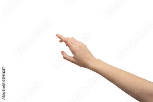 hand on white background