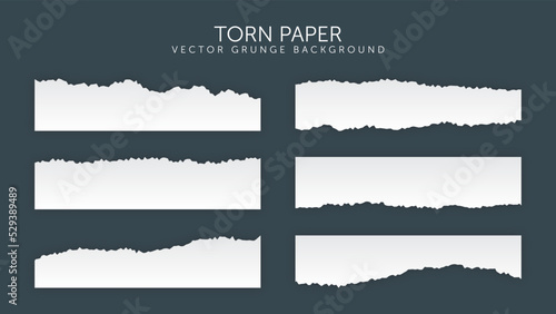 Set of Torn Ripped Paper