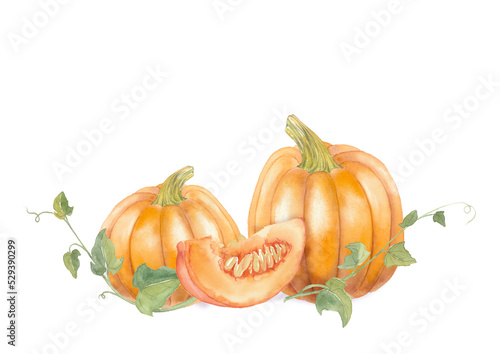 Pumpkin patch with slice and leaves. Watercolor illustration.