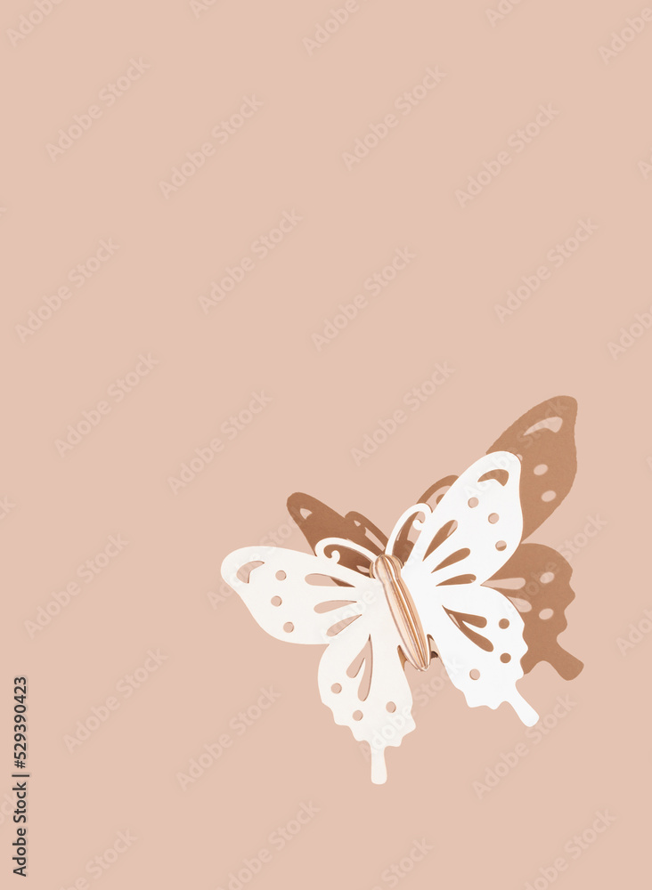 Butterfly with shadow isolated on pastel color background. Abstract, aesthetic, thanksgiving concept Colorful minimalism. Flat lay banner design with copy space. Butterfly with shadow isolated on pastel color background. Abstract, aesthetic, thanksgiving concept Colorful minimalism. Flat lay banner design with copy space.