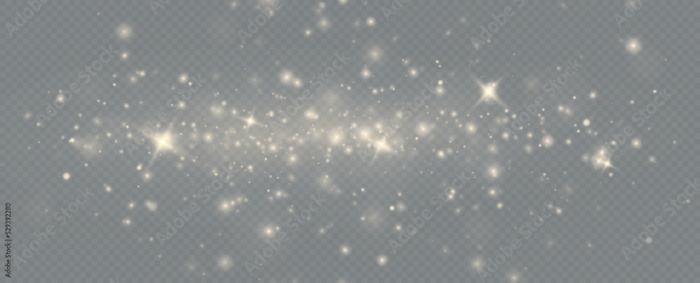 Fototapeta premium Light effect with glitter particles.Christmas dust.White sparks shine with special light.