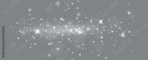 Light effect with glitter particles.Christmas dust.White sparks shine with special light.