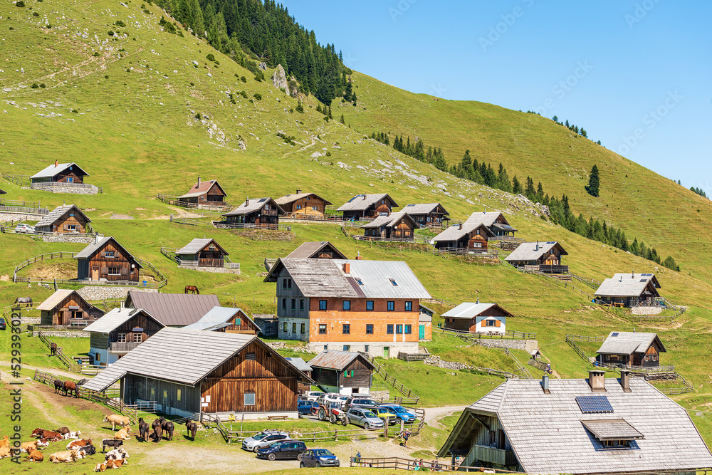 Small village in the Carnic Alps with herd of dairy cows and horses. Mountain peak of Osternig or Oisternig, Italy-Austria Border. Feistritz an der Gail municipality, Carinthia, Austria, Europe.