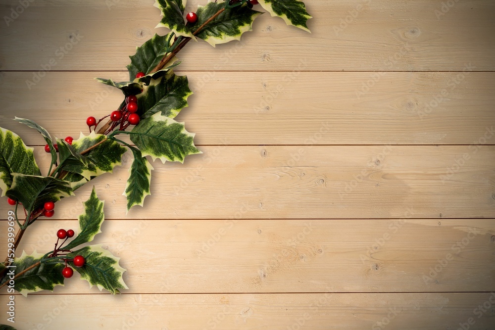 Holly twigs over wooden planks Holly twigs over wooden planks