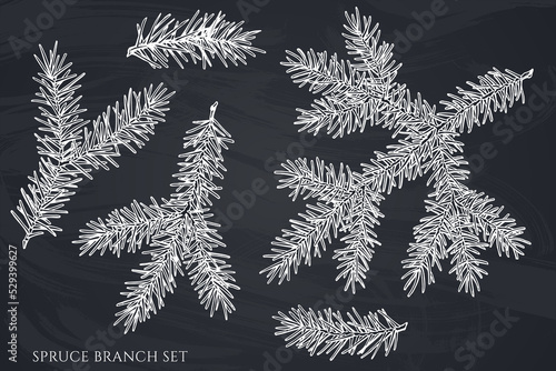 Mysterious forest hand drawn vector illustrations collection. Chalk spruce branch.