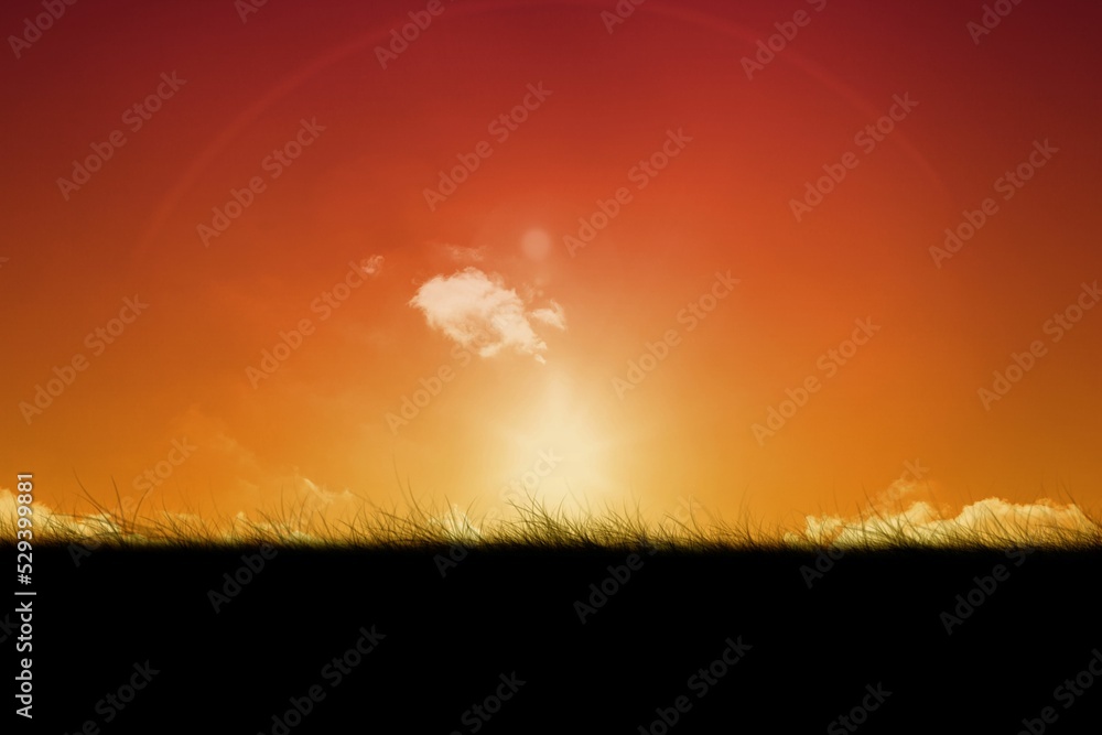 Fototapeta premium Sky and field