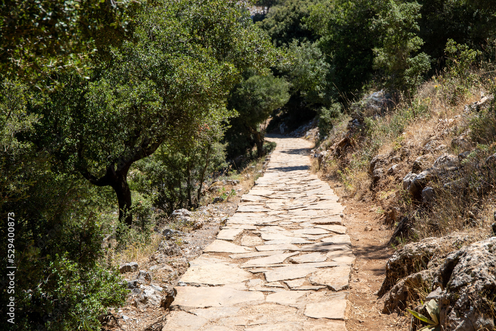 Obraz premium Old Path from coarse stone slabs, Crete