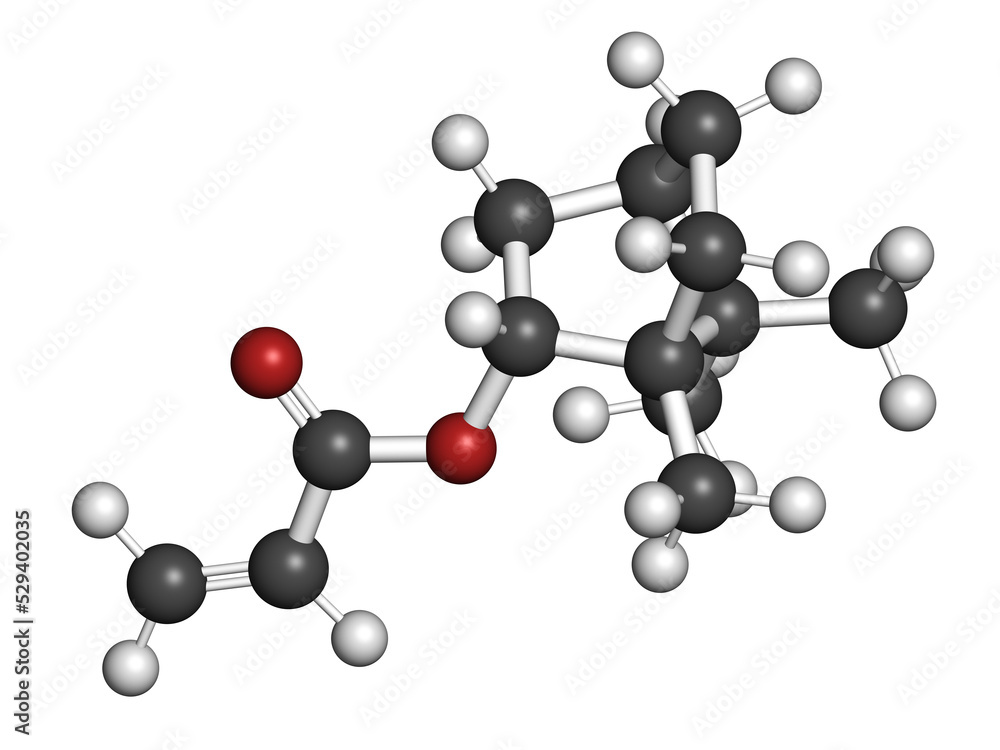 Isobornyl acrylate molecule. 3D rendering. Atoms are represented as spheres with conventional color coding: hydrogen (white), carbon (grey), oxygen (red). Isobornyl acrylate molecule. 3D rendering. Atoms are represented as spheres with conventional color coding: hydrogen (white), carbon (grey), oxygen (red).
