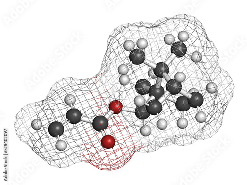 Isobornyl acrylate molecule. 3D rendering. Atoms are represented as spheres with conventional color coding: hydrogen (white), carbon (grey), oxygen (red). photo