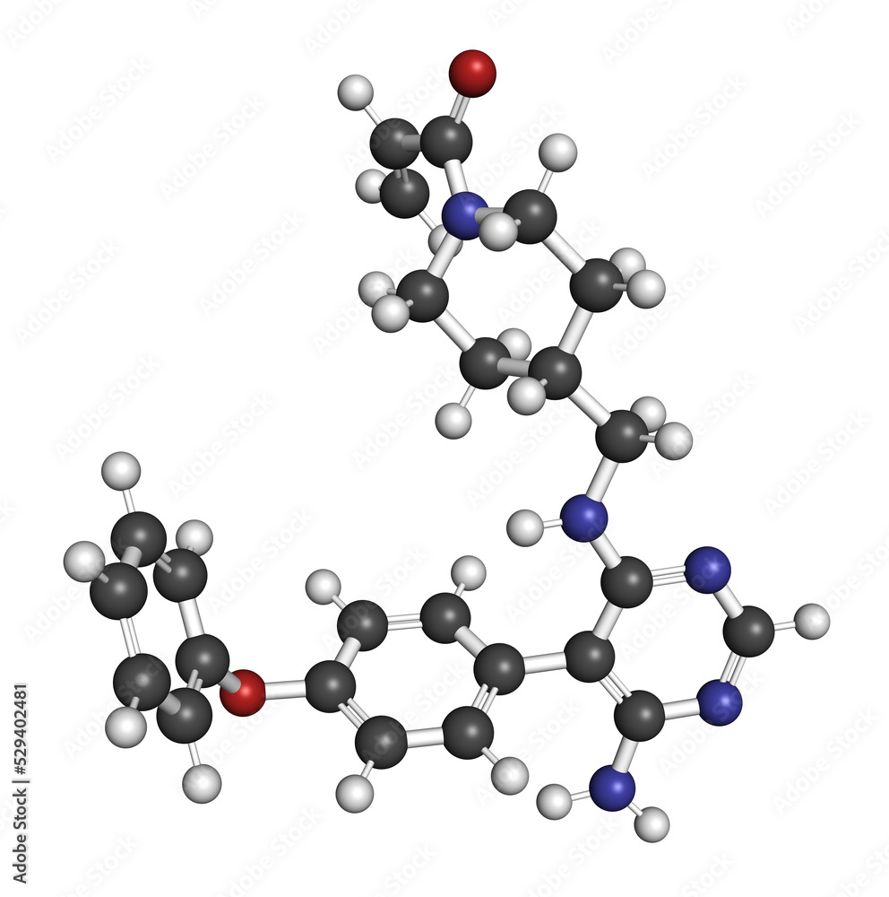 Evobrutinib drug molecule. 3D rendering. Atoms are represented as spheres with conventional color coding: hydrogen (white), carbon (grey), nitrogen (blue), oxygen (red).