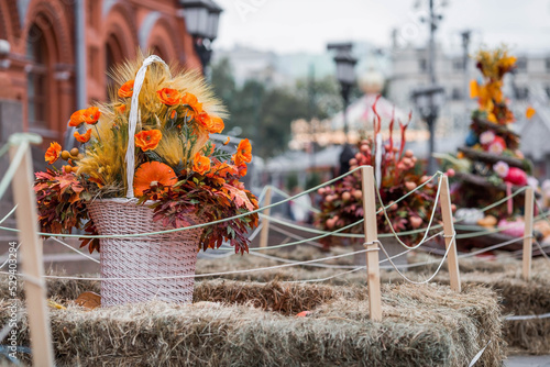 Photography Decorative pumpkins from the Golden autumn festival in Moscow, near red square, the Kremlin