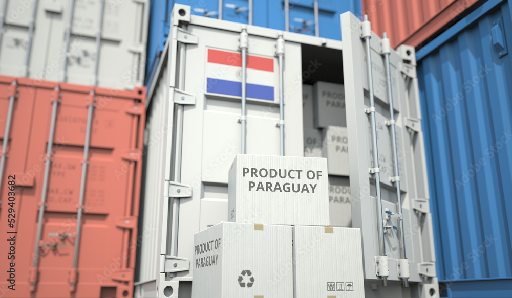 Cartons with goods from Paraguay and shipping containers in the port terminal or warehouse. National production related conceptual 3D rendering