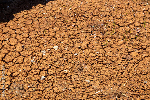 Dried clay soil on crete © patrick