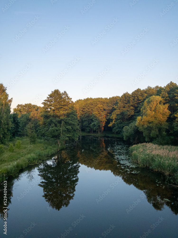 autumn trees reflected in water